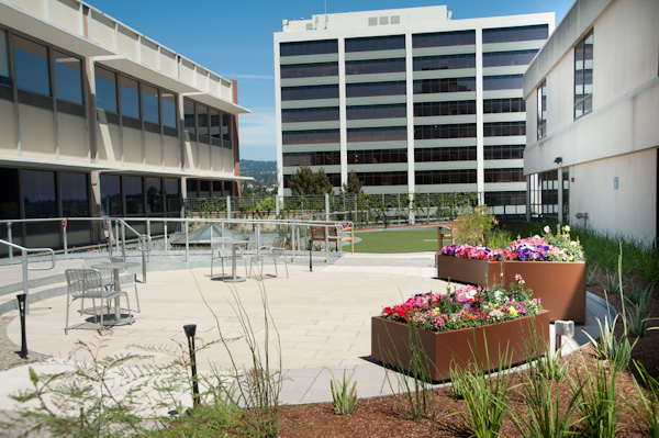 Ketamine Rehab Treatment ProgramsLaporte PA